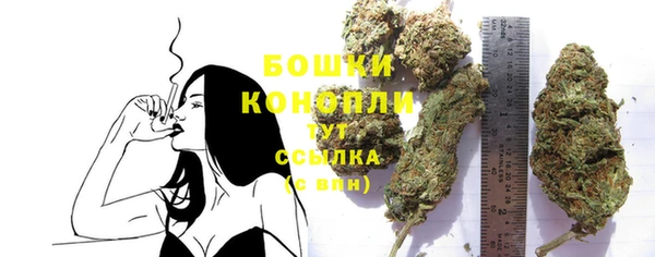 дмт Дмитровск