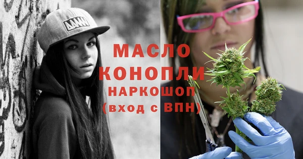 крисы Елабуга