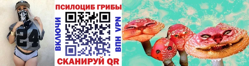 Галлюциногенные грибы мицелий  что такое   Калач-на-Дону 