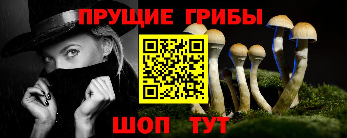 Галлюциногенные грибы GOLDEN TEACHER  наркотики  Калач-на-Дону  Вход с VPN 
