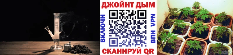 Бошки марихуана ГИДРОПОН Калач-на-Дону